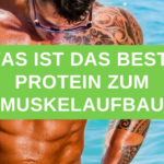 Was ist das beste Protein zum Muskelaufbau