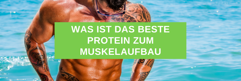 Was ist das beste Protein zum Muskelaufbau