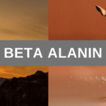Beta Alanin Vergleich