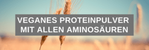 Veganes Proteinpulver mit allen Aminosäuren Vergleich