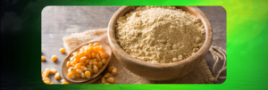 Bio veganes Proteinpulver ohne Süßungsmittel: Gesunde Wahl